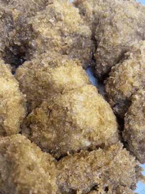 「新潟名物　たれカツ」 「鶏と厚揚げのみぞれ煮🐔」  「ふわ玉きのこ🍄」 「新潟名物　栃尾の油揚げ(みそ味)」  「すき焼き🐂🥚」「ぶどう(種なし)🍇」「ヨーグルト🥛」