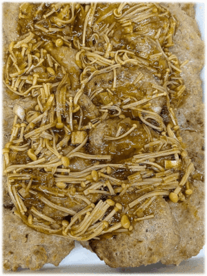 「ハンバーグ 和風茸ソース🍄」　「ぷりぷり エビマヨ🦐」　「肉野菜中華炒め🍖🥬」　「大根とガンモの煮物」　「春雨サラダ🥗」　「春の香り ふきのとう味噌」　「ヨーグルト🥛」　「新潟お祭り屋台🏮の定番お菓子 ポッポ焼き」 「ぶどう🍇」