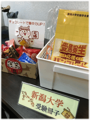 「鶏の塩麹焼き🍗」　「大根と車麩のピリ辛味噌炒め」　「春菊の胡麻和え🍃」　「フライドポテトのチーズ焼き🍟🧀」　「フルーツ盛り合わせ🥝🍍」  「プリン🍮」